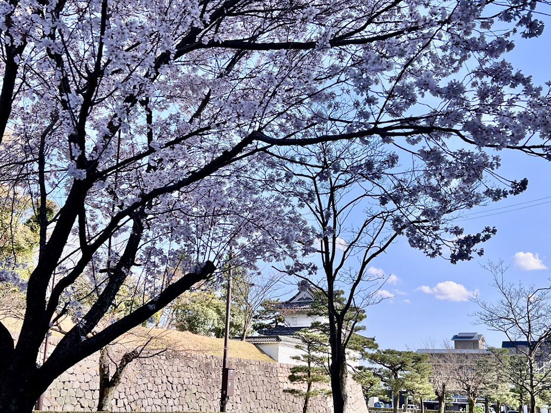 二条城