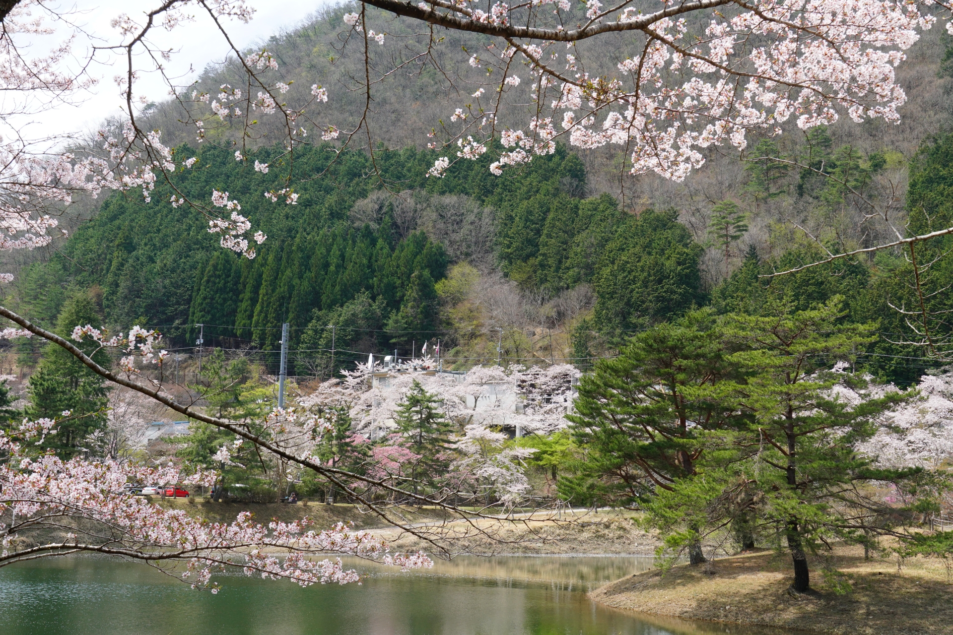 レジャースポットが充実