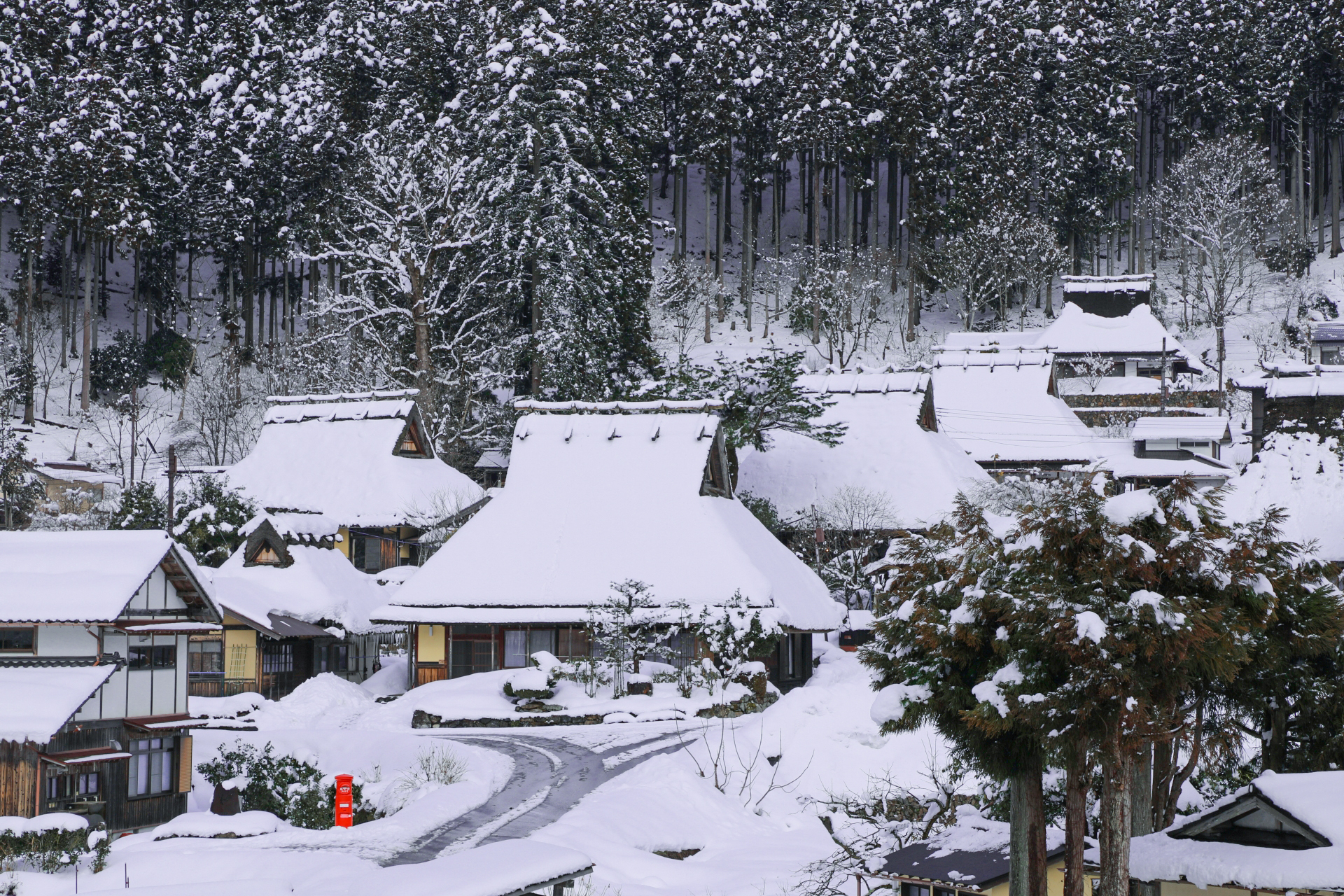 かやぶきの里・冬